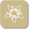 Collaborate Icon